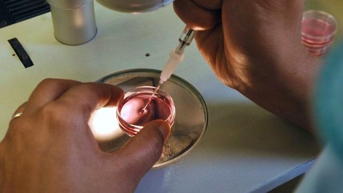 The Federal Council wants to authorize the donation of eggs