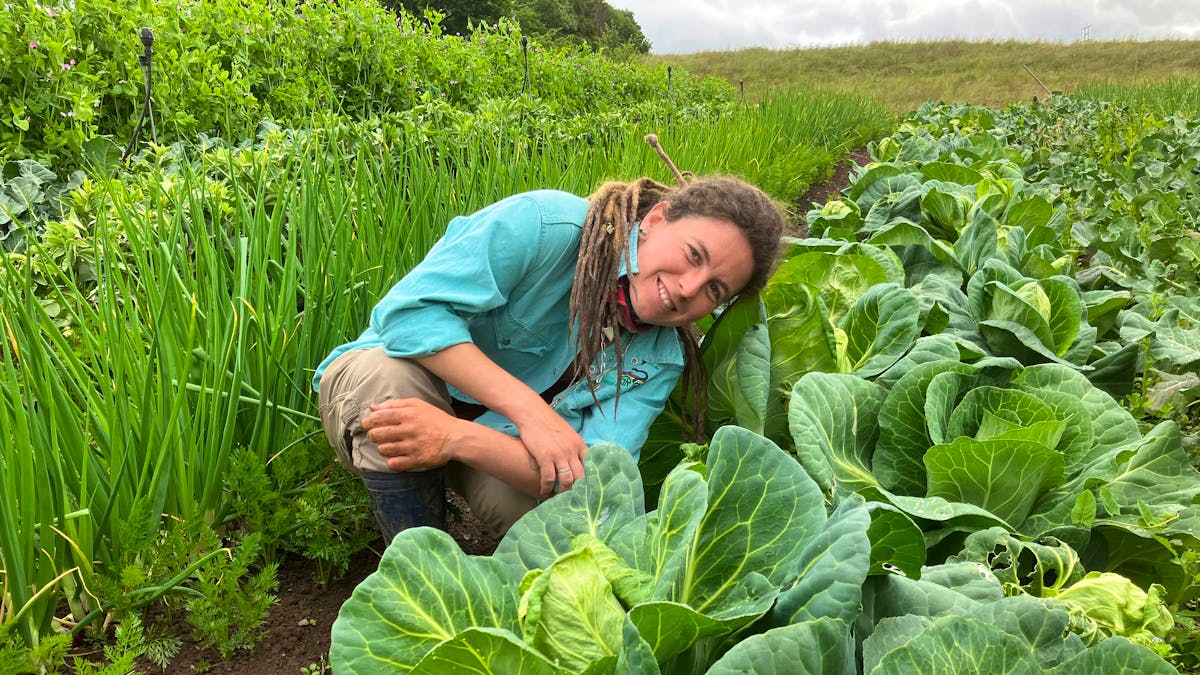 These micro-farms that deliver restaurants!