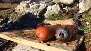 Yes to a protected roasted area (ZTP)