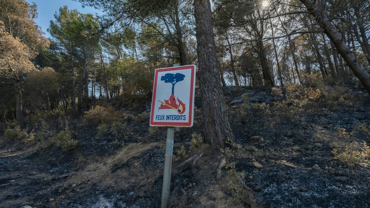 Fire in the Aude: a suspected criminal origin