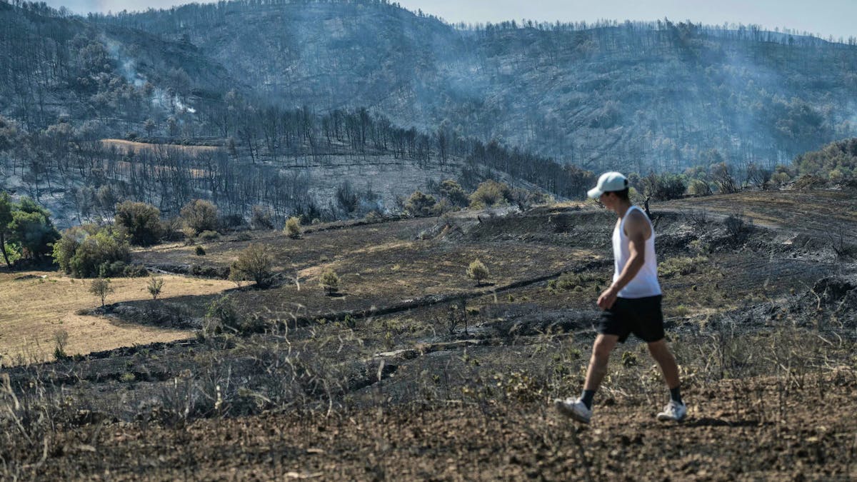 Fire in the Aude: loss of intensity, but persistent ravages