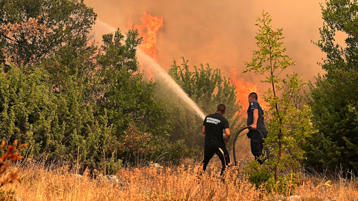 Record drought for the beginning of August in Europe