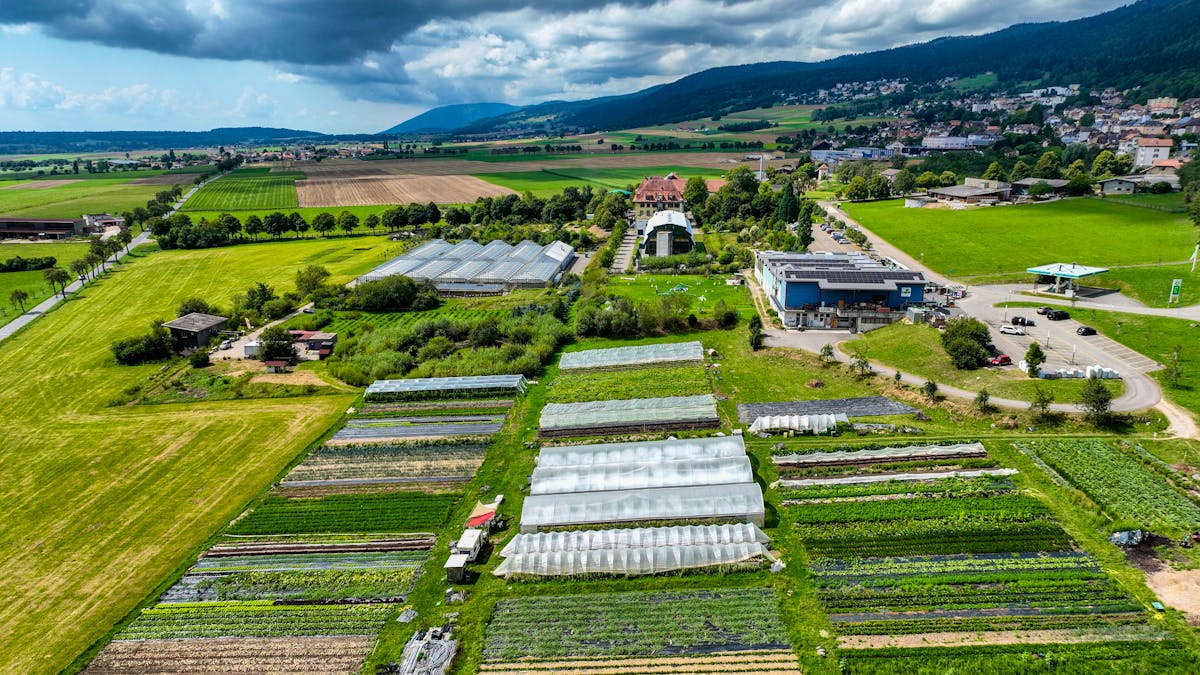 These micro -fees that deliver restaurants!