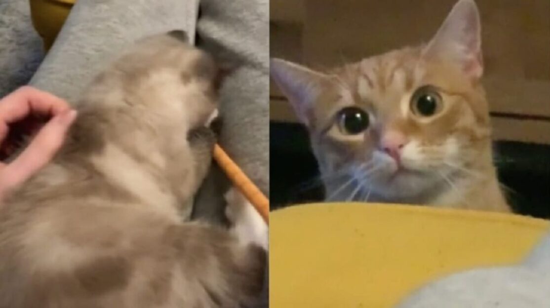 Online reactions