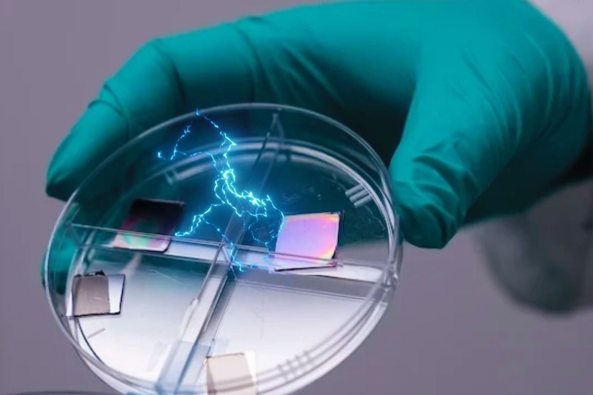 The US Unveils a Quantum Breakthrough That Finally Solves Renewable Energy’s Biggest Problem