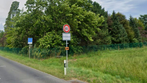 A dozen fish found dead in a polluted stream