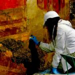 Treasures rise from the ground before the eyes of visitors in Pompeii