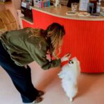 Doggoccino and macarons: the dog bar is chic