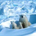 A hi-tech expedition will examine the melting ice in Greenland