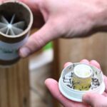 To combat tiger mosquitoes, 600,000 will be released