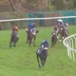 Favorite of the race, a horse dies in full gallop in Auteuil